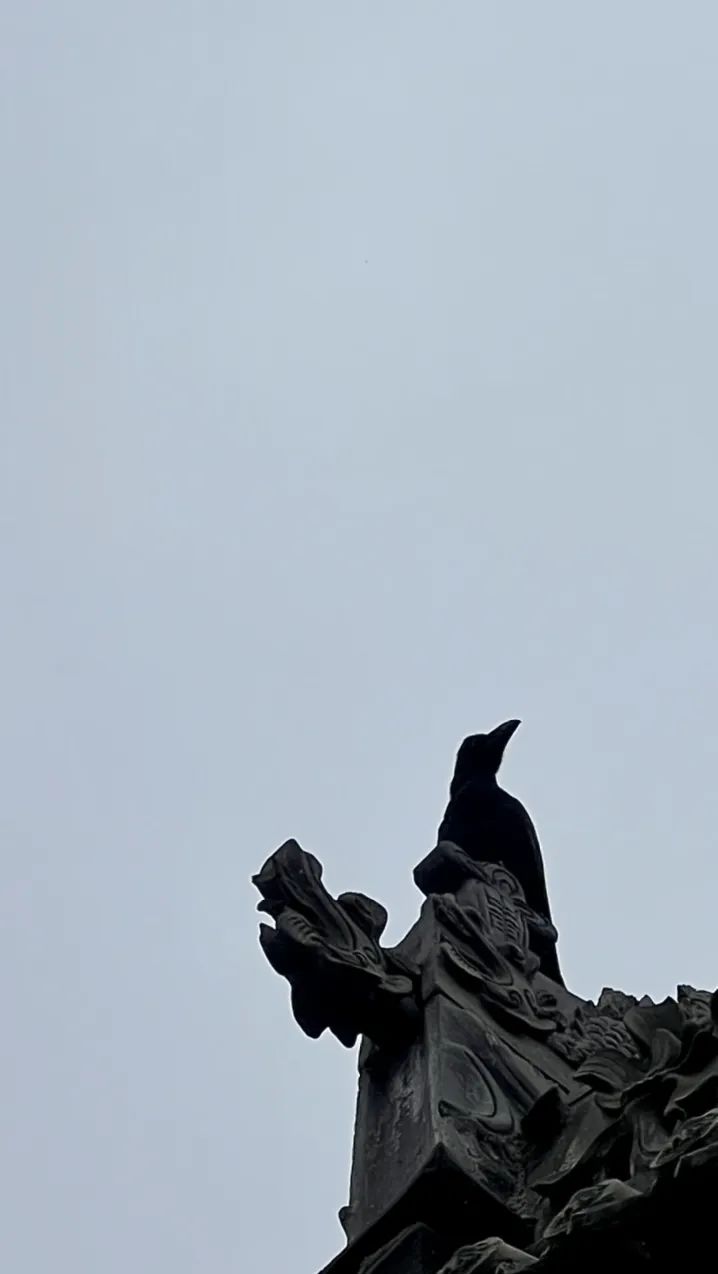 西安旅游市内玩景点_西安市区内旅游_西安市内旅游攻略