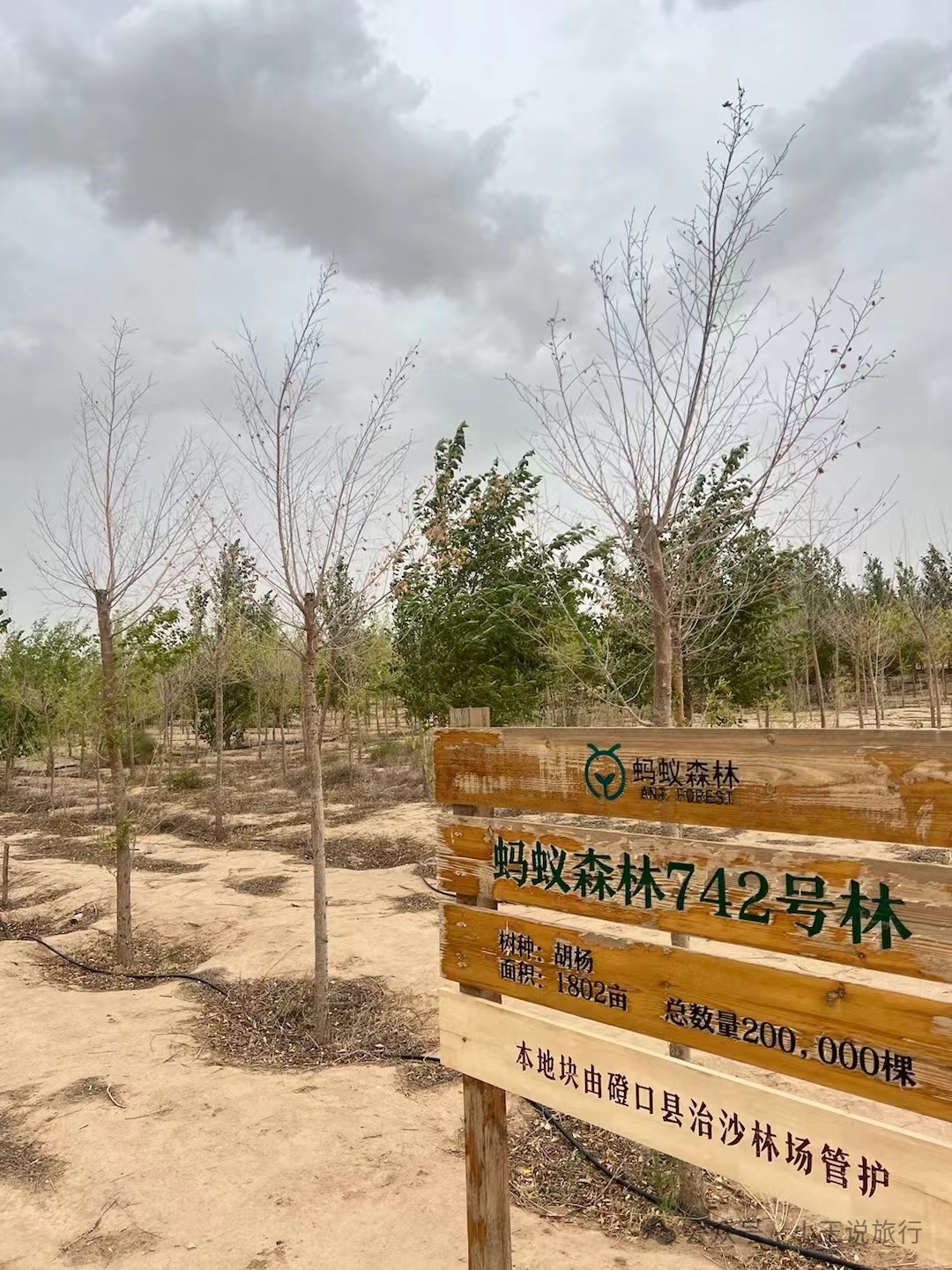 陈巴尔虎旗景点_陈巴尔虎旗中的旗是什么意思_陈巴尔虎旗旅游攻略