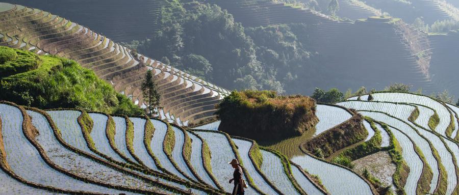 广西龙脊梯田视频_广西龙脊梯田旅游攻略_广西龙脊梯田哪里好玩