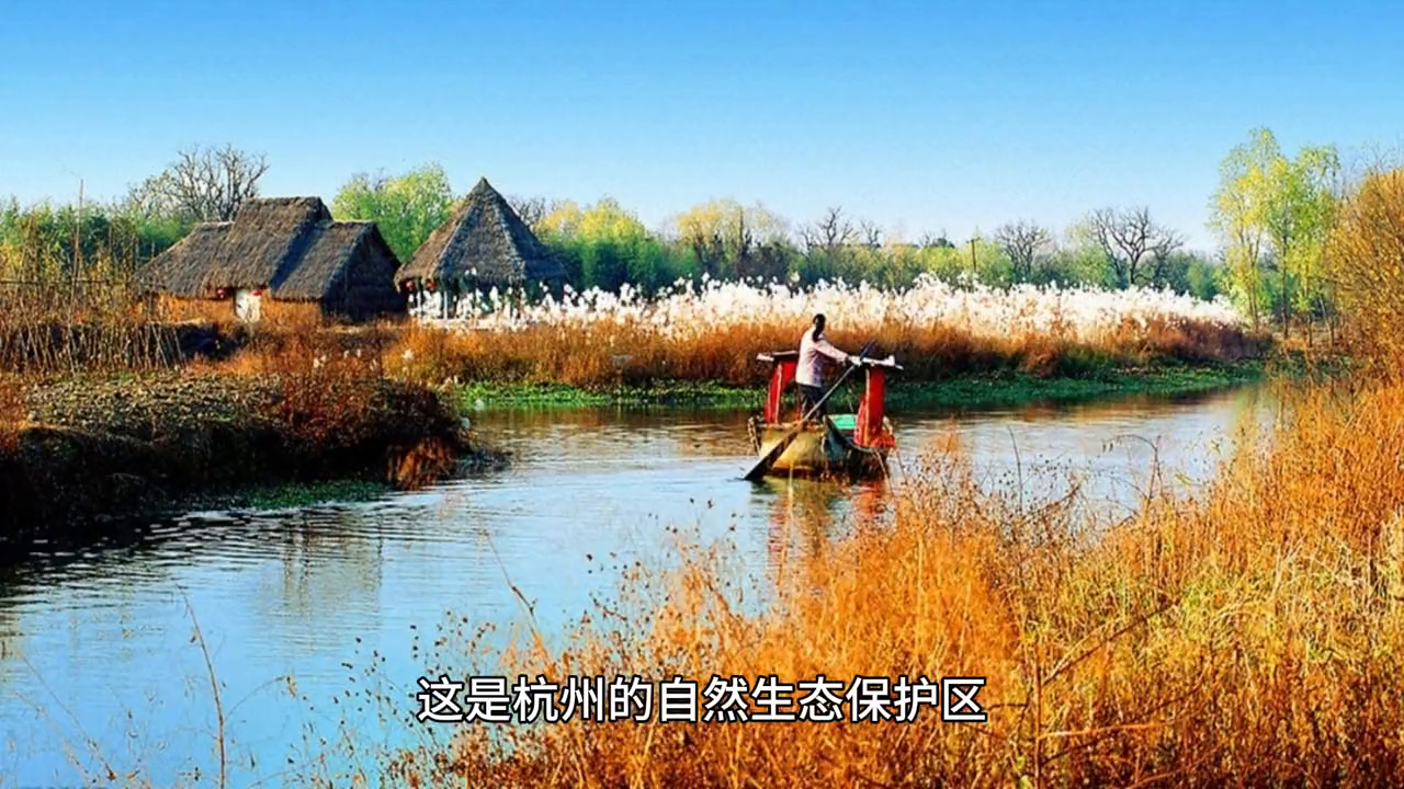 春季攻略杭州旅游推荐_杭州春季旅游最佳去处_杭州春季旅游攻略