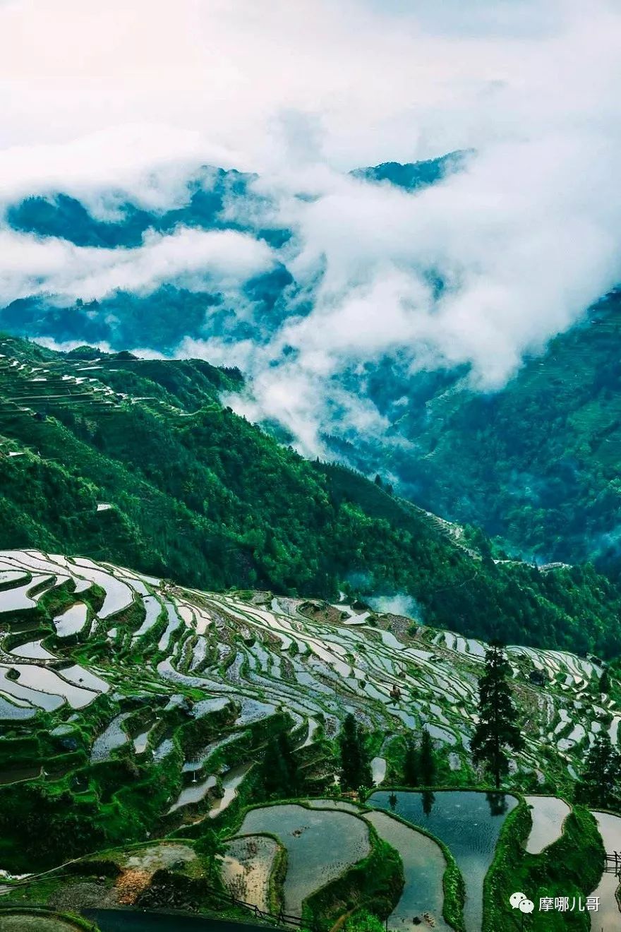 万峰林游记_万峰林旅游攻略自驾游_游万峰林需要多少时间