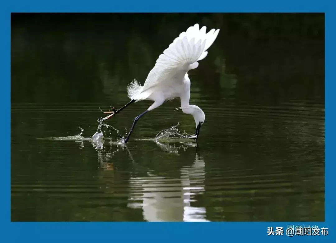 巴厘岛金银岛旅游攻略_巴厘岛金沙滩在哪_巴厘岛度假胜地