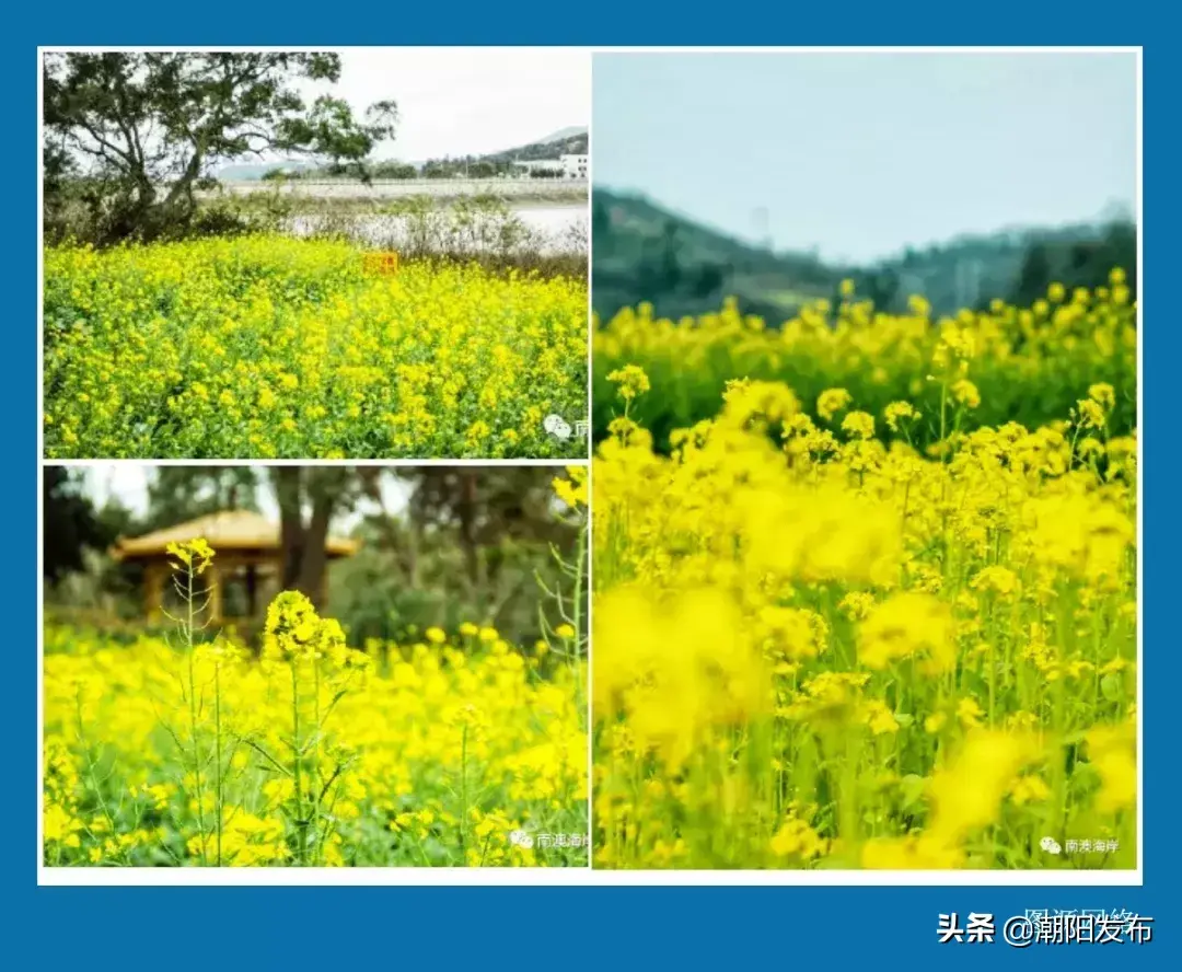 巴厘岛度假胜地_巴厘岛金沙滩在哪_巴厘岛金银岛旅游攻略