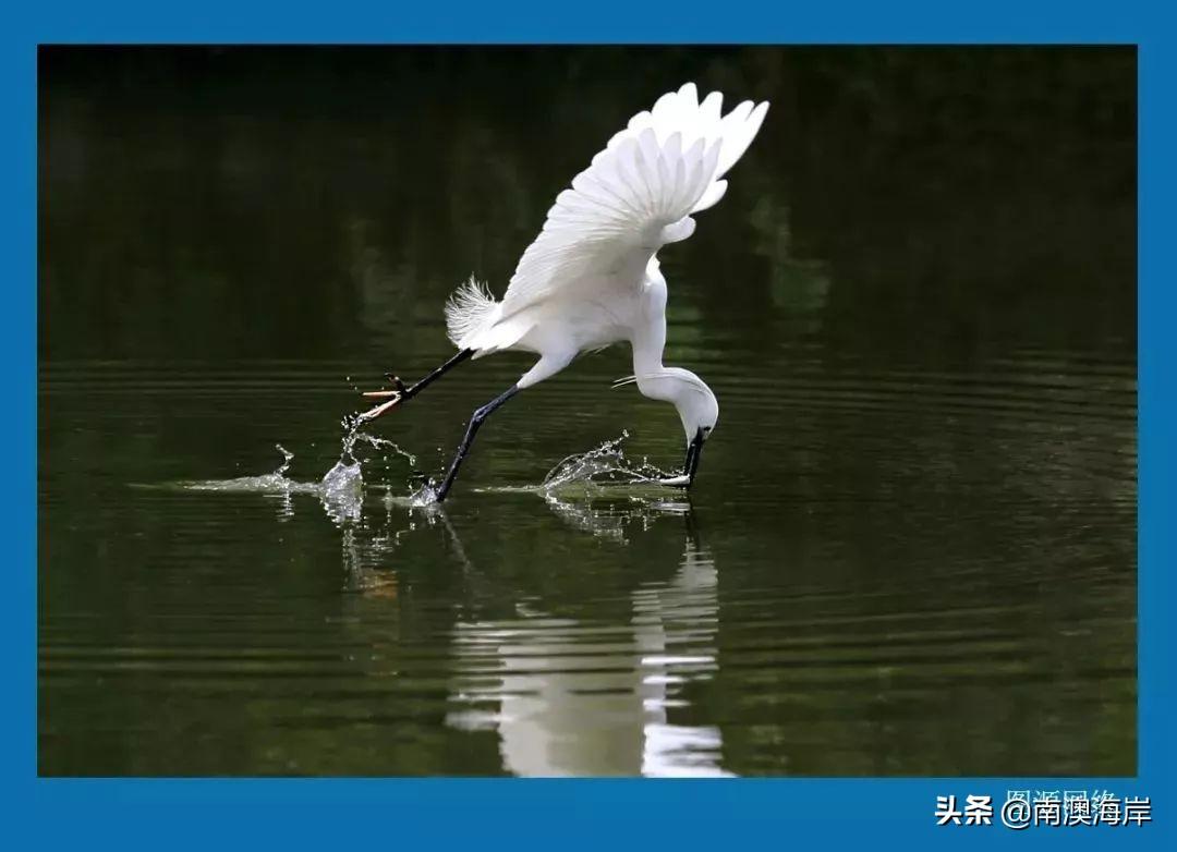 巴厘岛金银岛旅游攻略_巴厘岛度假胜地_巴厘岛金巴兰海滩图片