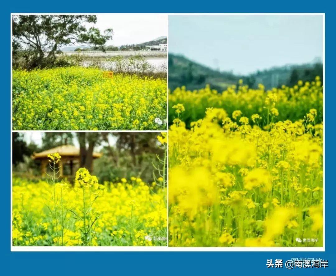巴厘岛度假胜地_巴厘岛金银岛旅游攻略_巴厘岛金巴兰海滩图片