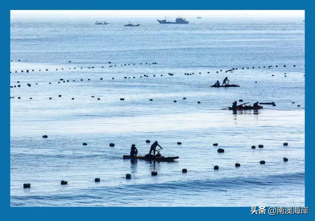 巴厘岛金巴兰海滩图片_巴厘岛金银岛旅游攻略_巴厘岛度假胜地