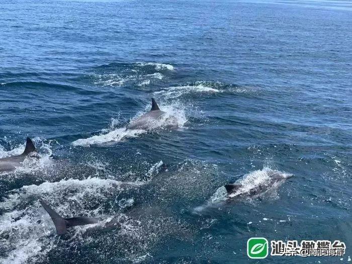 巴厘岛度假胜地_巴厘岛金银岛旅游攻略_巴厘岛金巴兰海滩图片