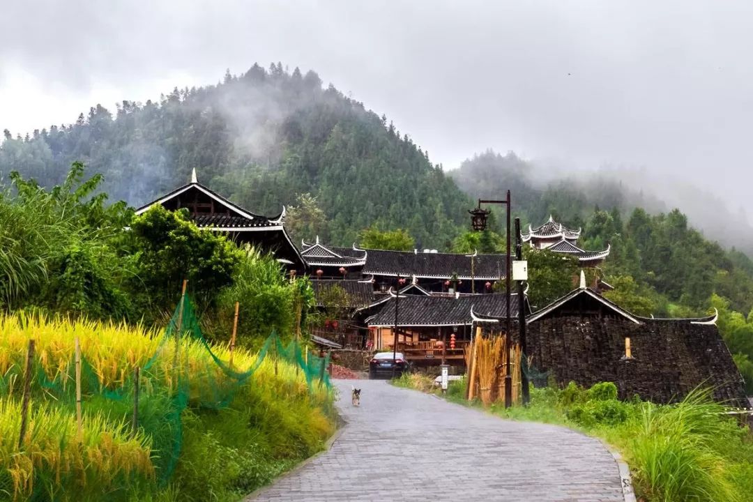 怀化旅游攻略景点必去_怀化旅游攻略_怀化旅游线路推荐