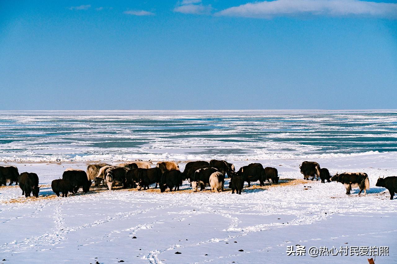 海天湖公园可以钓鱼吗_冬天青海湖旅游攻略_海天湖公园一圈几公里