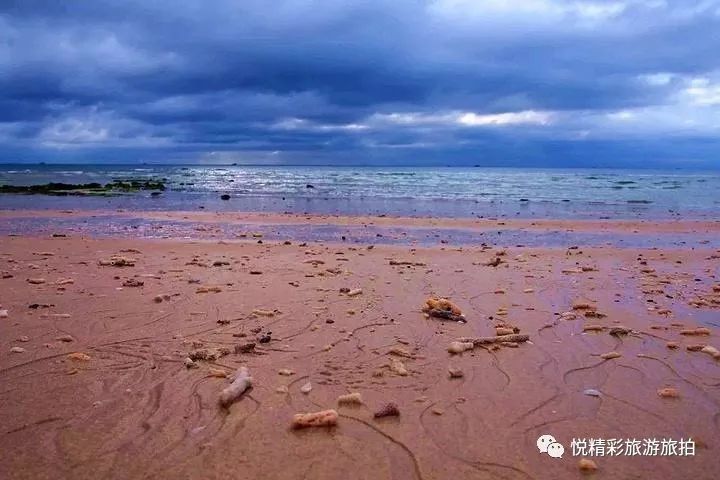 涠洲岛旅游攻略 海鲜_涠洲岛海鲜加工有什么猫腻_硇洲岛海鲜市场