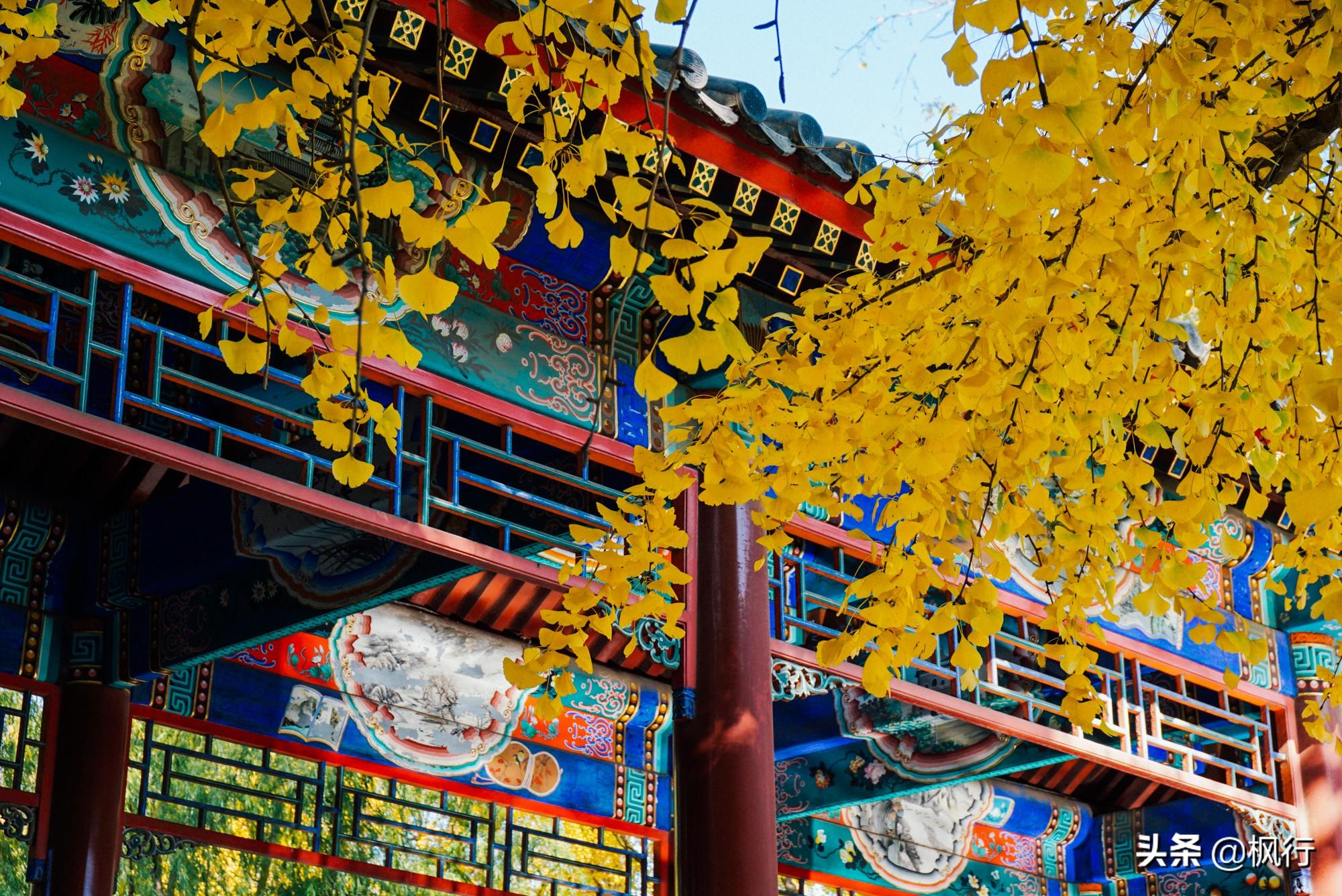 北京红螺寺旅游攻略_北京红螺寺的位置_北京红螺寺2021年图片