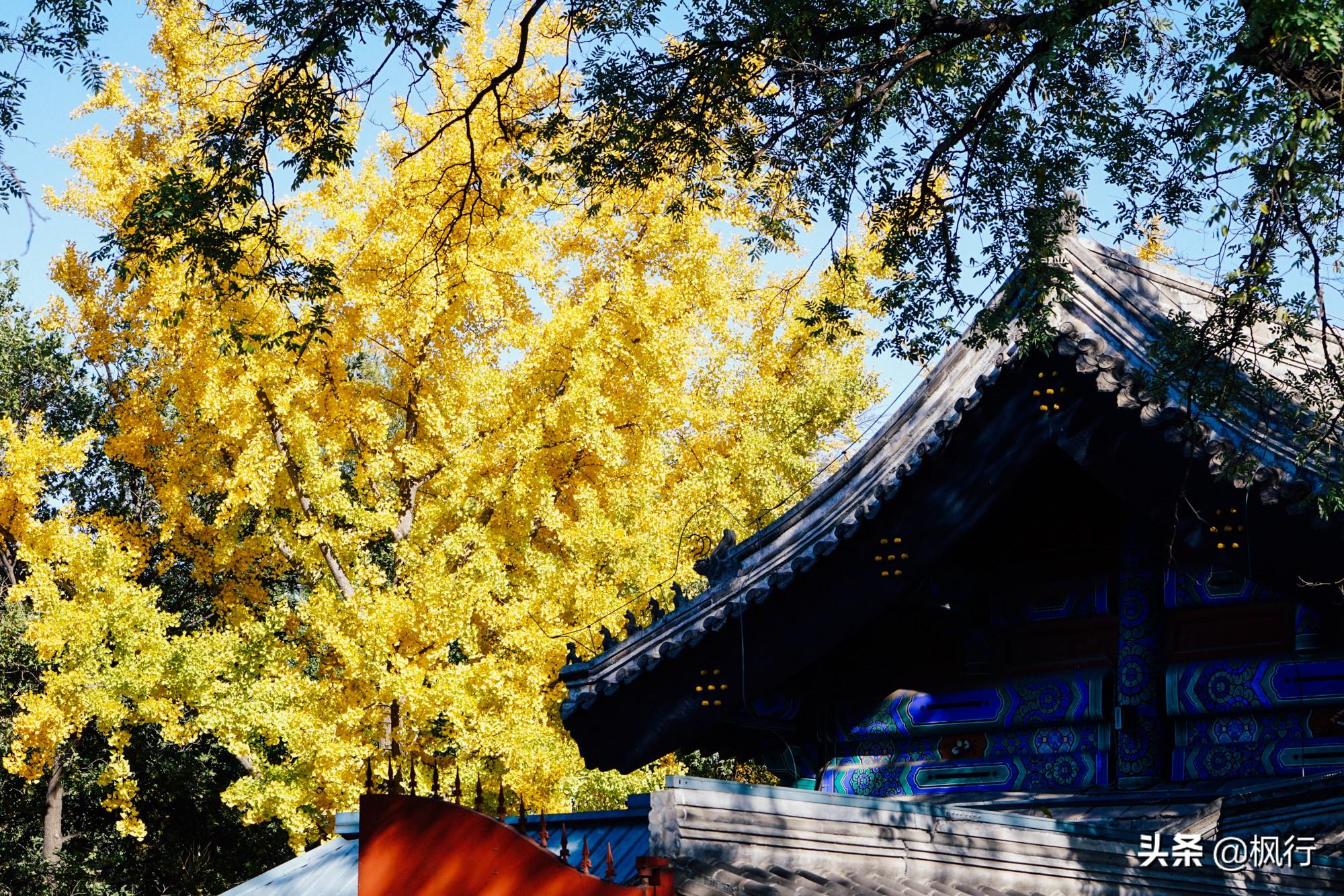 北京红螺寺的位置_北京红螺寺2021年图片_北京红螺寺旅游攻略