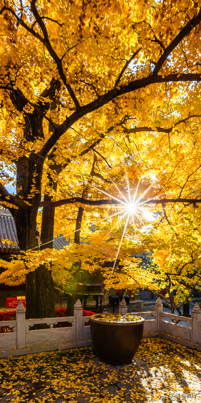 北京红螺寺2021年图片_北京红螺寺旅游攻略_北京红螺寺的位置