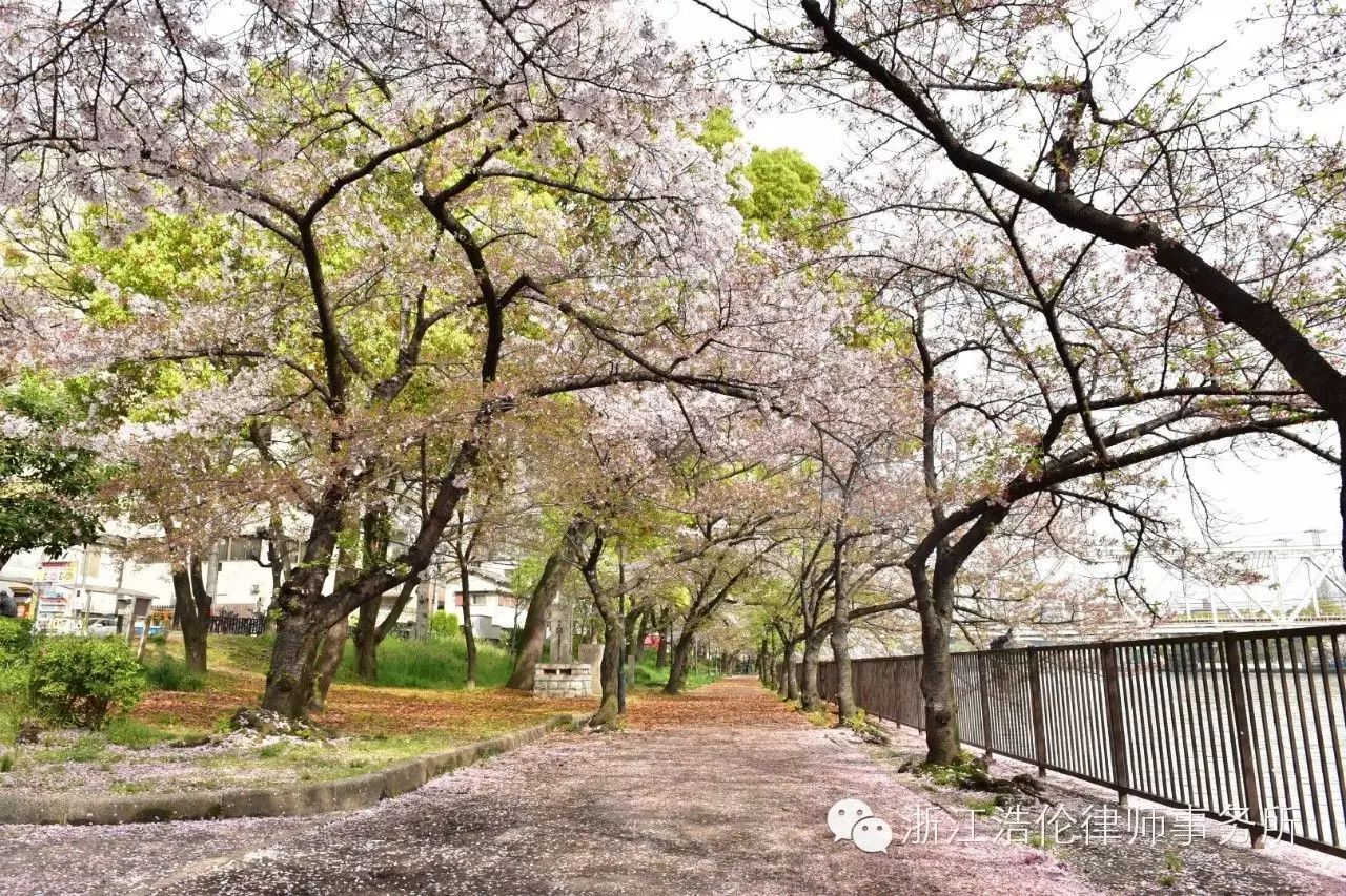 日本川崎旅游景点_日本川崎旅游攻略_日本川崎有什么好玩的