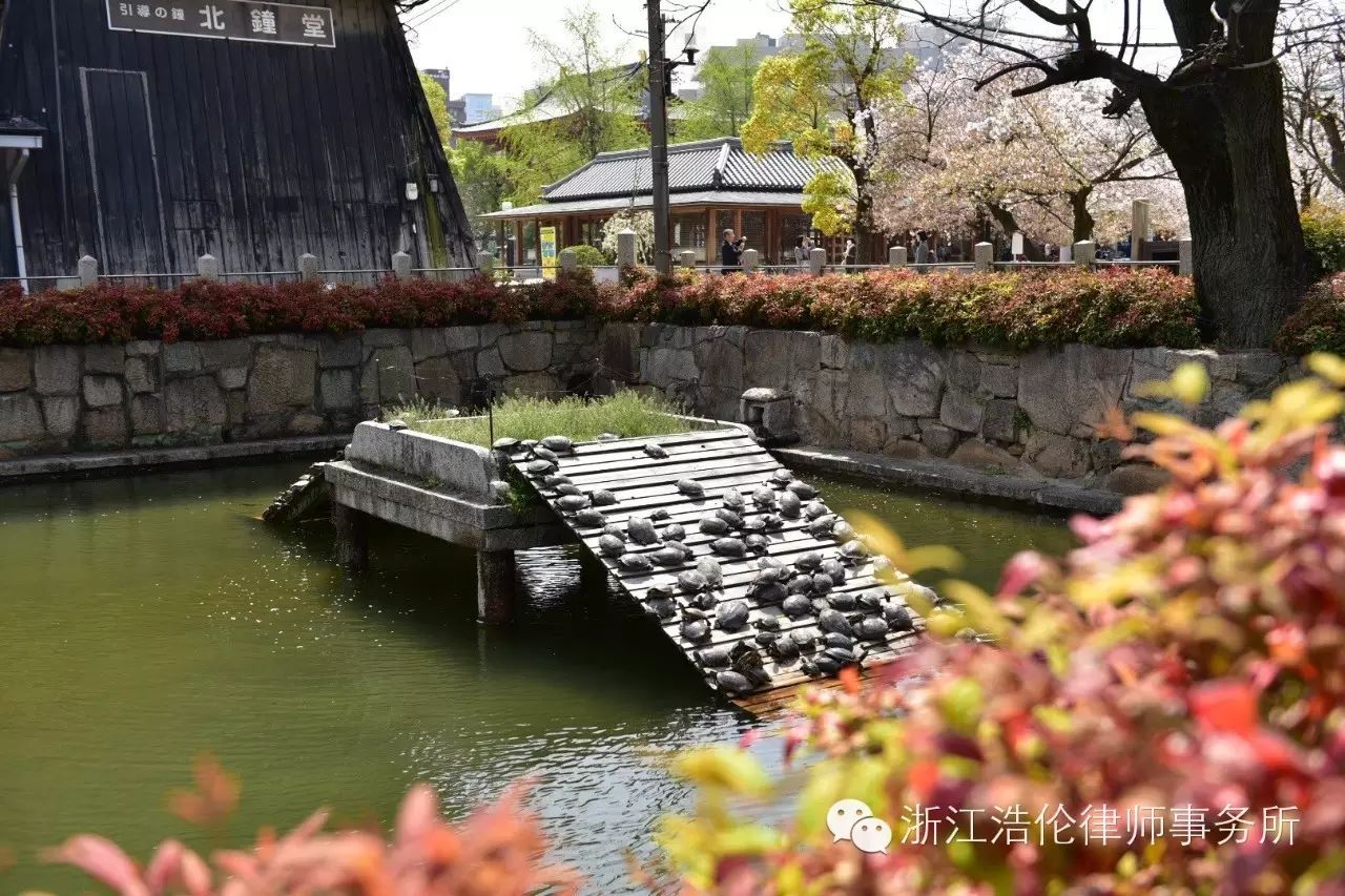 日本川崎旅游攻略_日本川崎旅游景点_日本川崎有什么好玩的