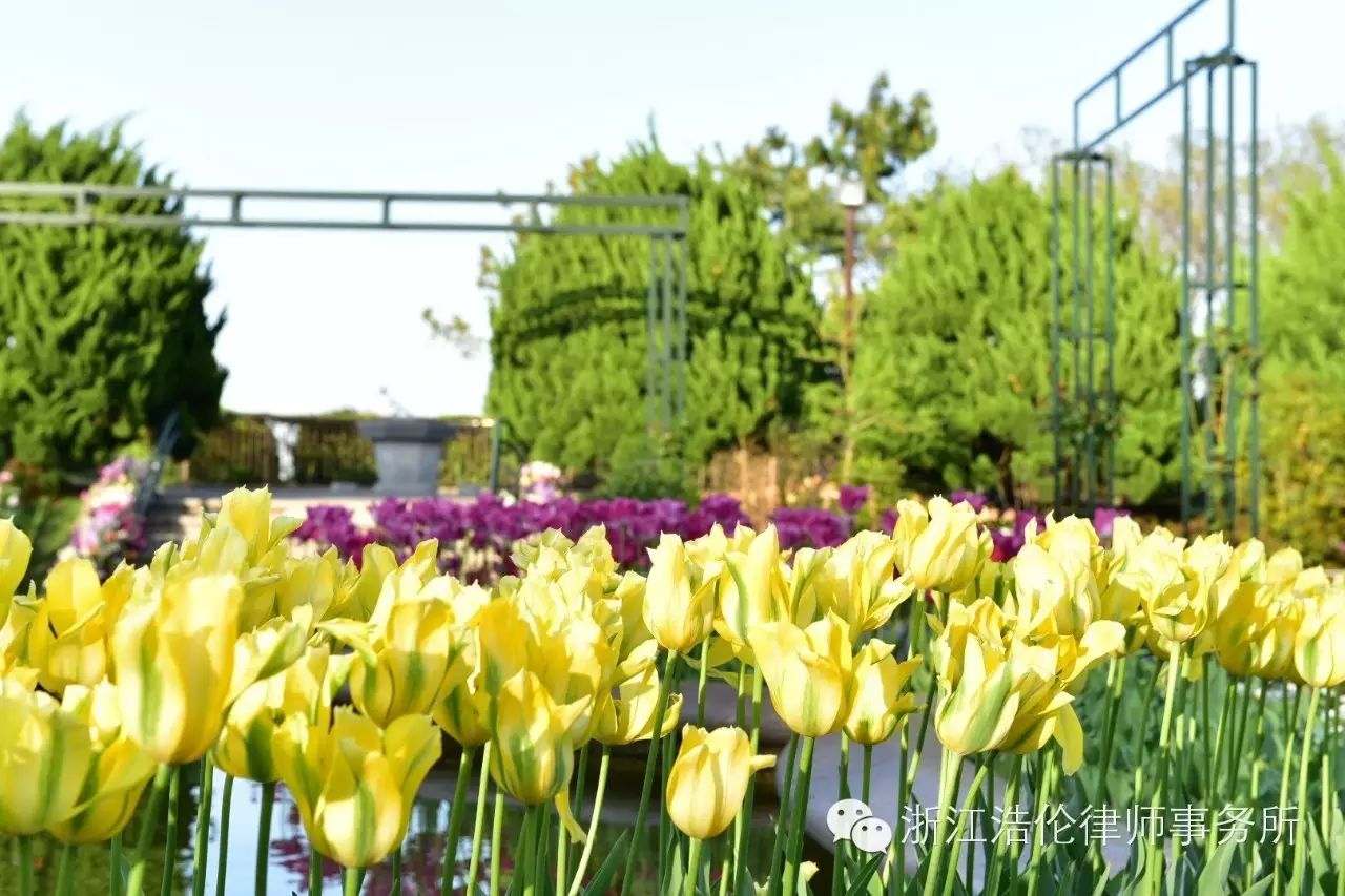 日本川崎旅游攻略_日本川崎有什么好玩的_日本川崎旅游景点