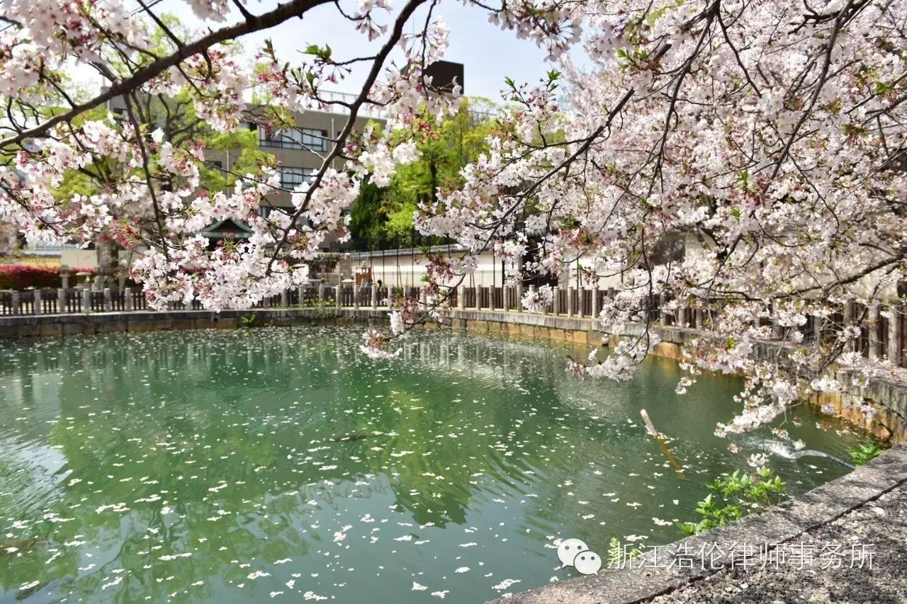日本川崎有什么好玩的_日本川崎旅游攻略_日本川崎旅游景点