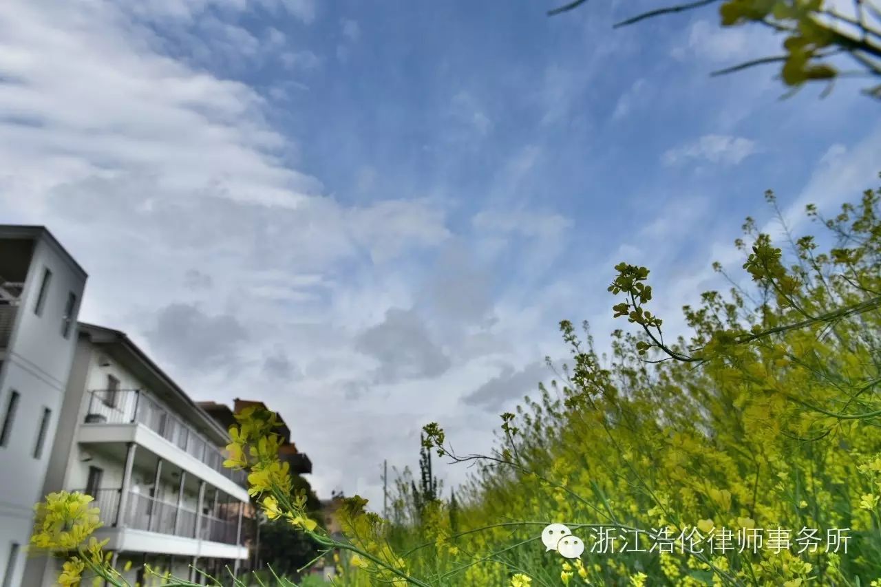 日本川崎旅游景点_日本川崎有什么好玩的_日本川崎旅游攻略