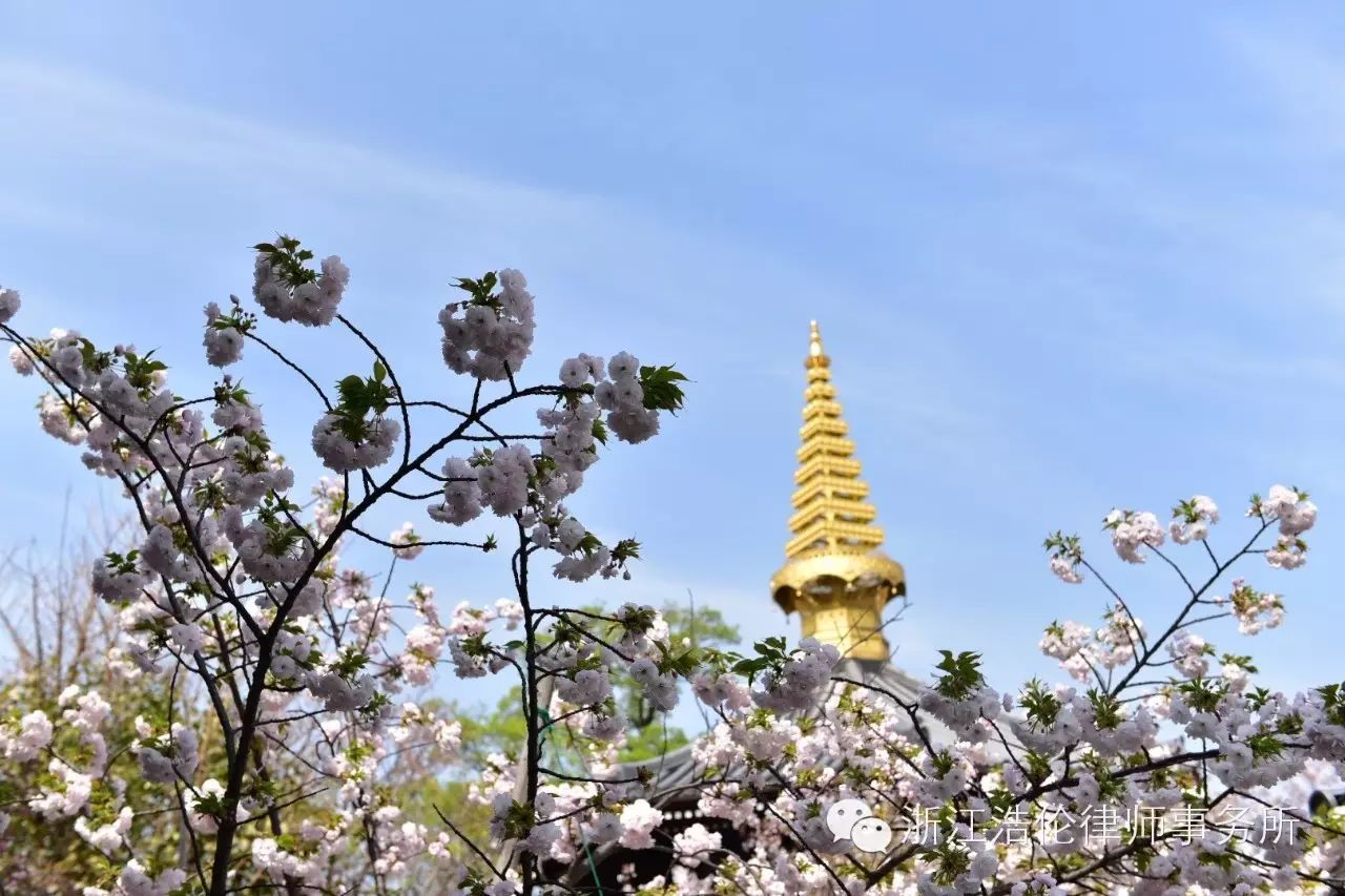 日本川崎旅游攻略_日本川崎旅游景点_日本川崎有什么好玩的