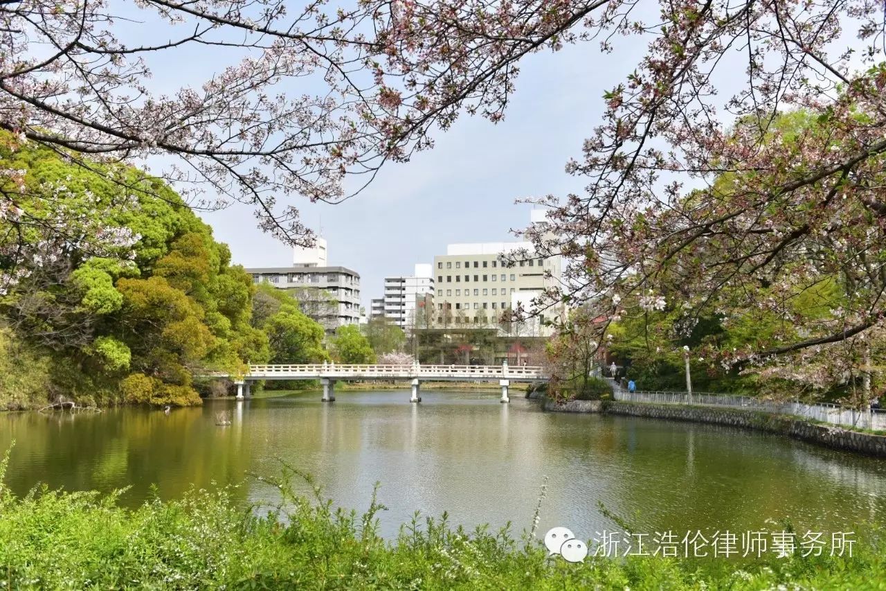 日本川崎旅游景点_日本川崎有什么好玩的_日本川崎旅游攻略