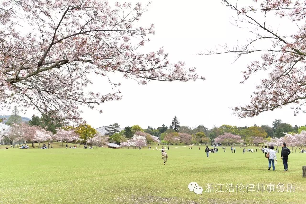 日本川崎旅游景点_日本川崎旅游攻略_日本川崎有什么好玩的