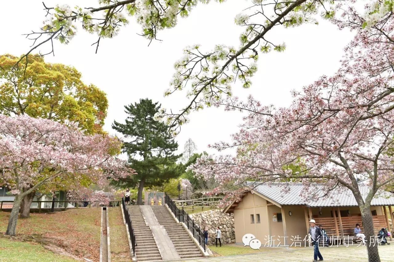 日本川崎有什么好玩的_日本川崎旅游攻略_日本川崎旅游景点