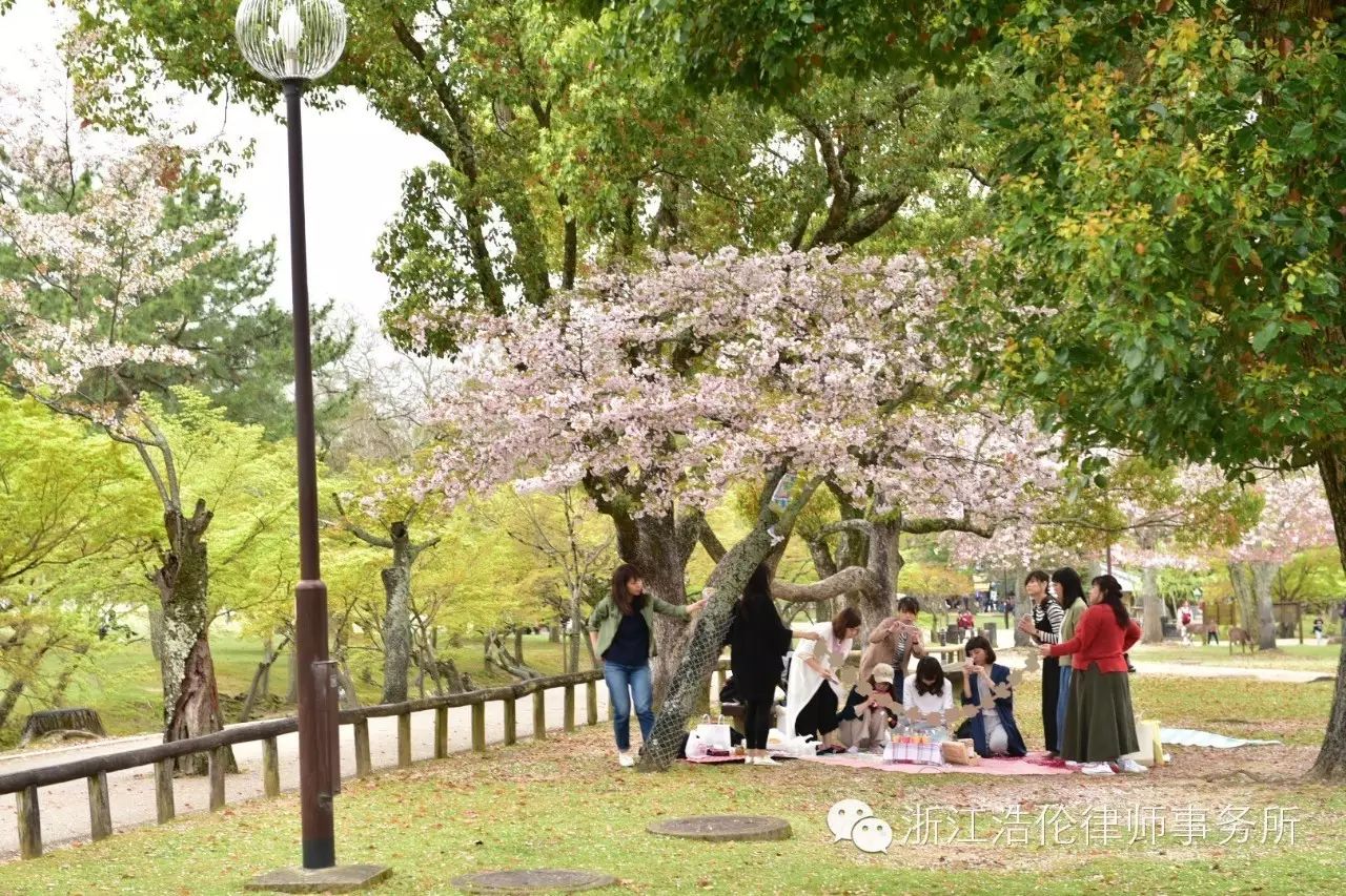 日本川崎旅游攻略_日本川崎有什么好玩的_日本川崎旅游景点