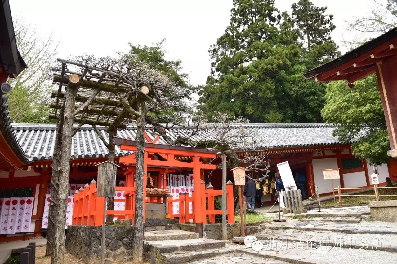 日本川崎旅游景点_日本川崎旅游攻略_日本川崎有什么好玩的