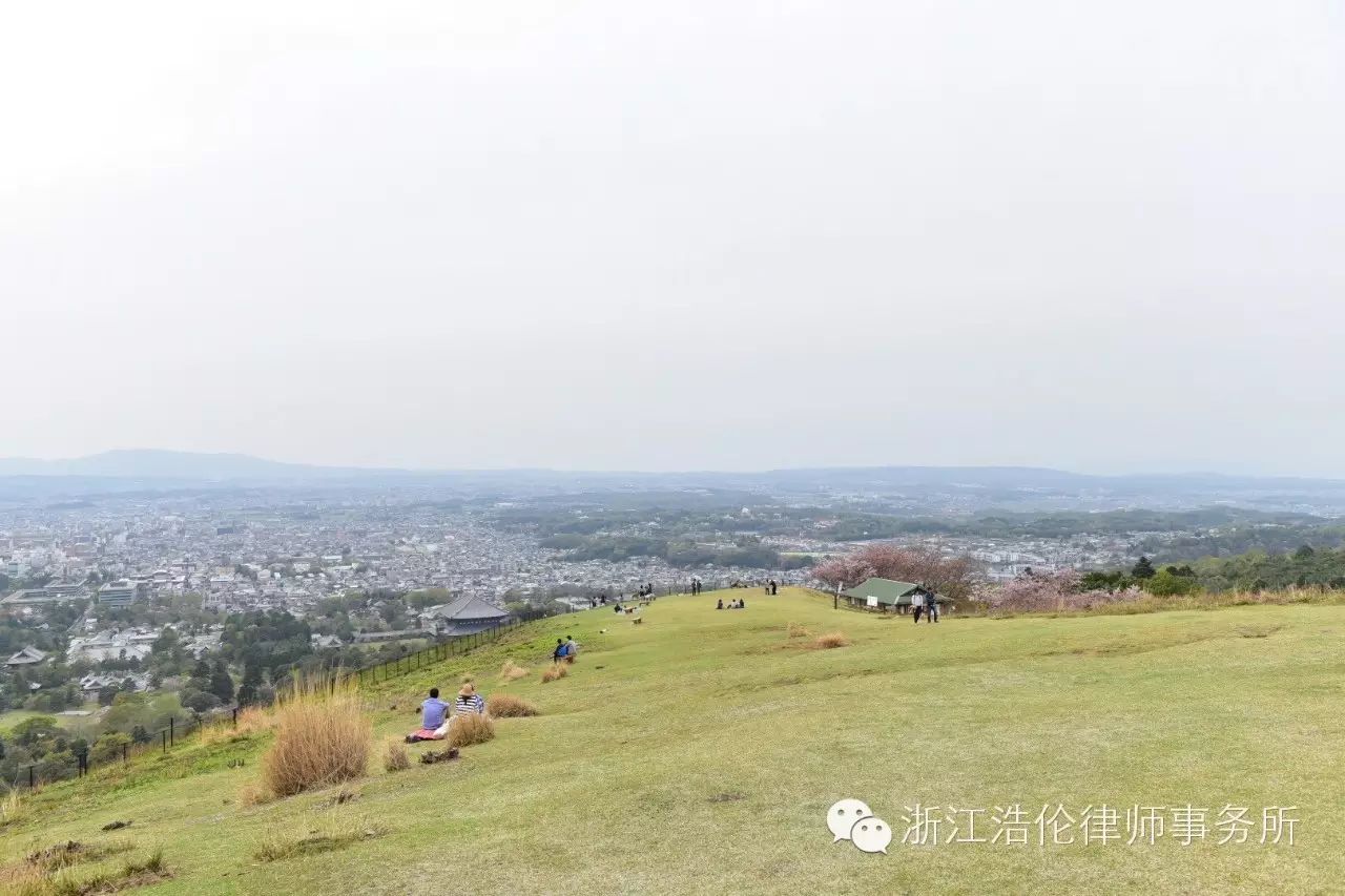 日本川崎旅游攻略_日本川崎有什么好玩的_日本川崎旅游景点