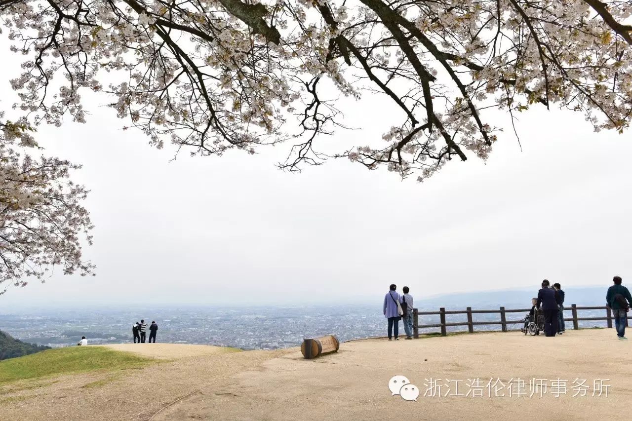 日本川崎有什么好玩的_日本川崎旅游攻略_日本川崎旅游景点