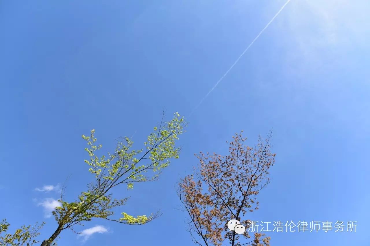 日本川崎旅游景点_日本川崎旅游攻略_日本川崎有什么好玩的