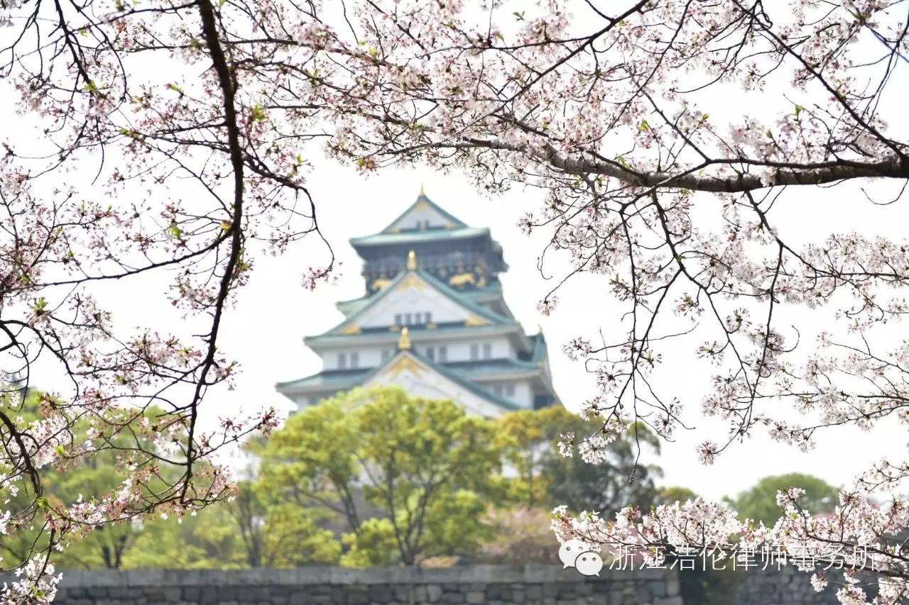 日本川崎有什么好玩的_日本川崎旅游景点_日本川崎旅游攻略