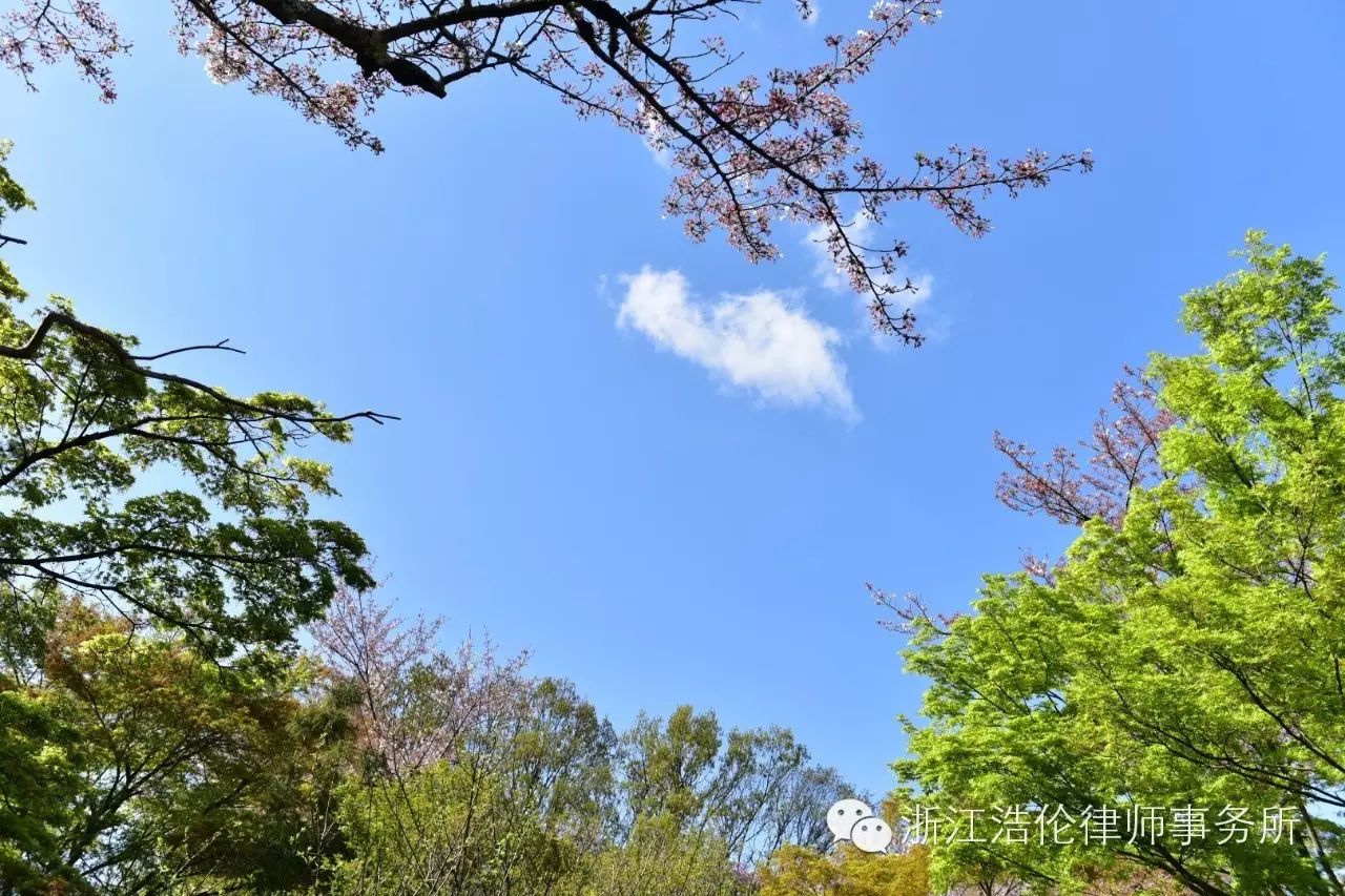 日本川崎有什么好玩的_日本川崎旅游景点_日本川崎旅游攻略