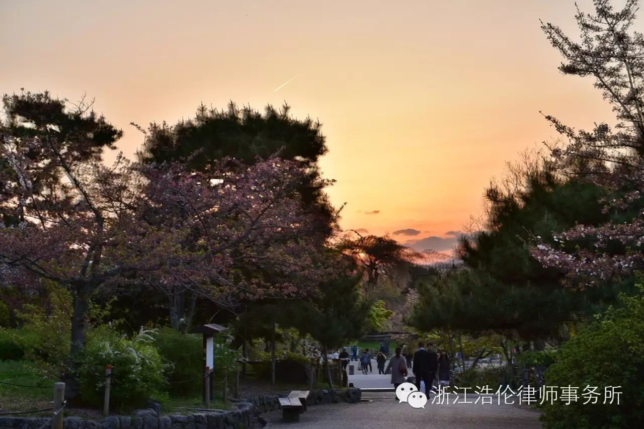 日本川崎旅游攻略_日本川崎有什么好玩的_日本川崎旅游景点