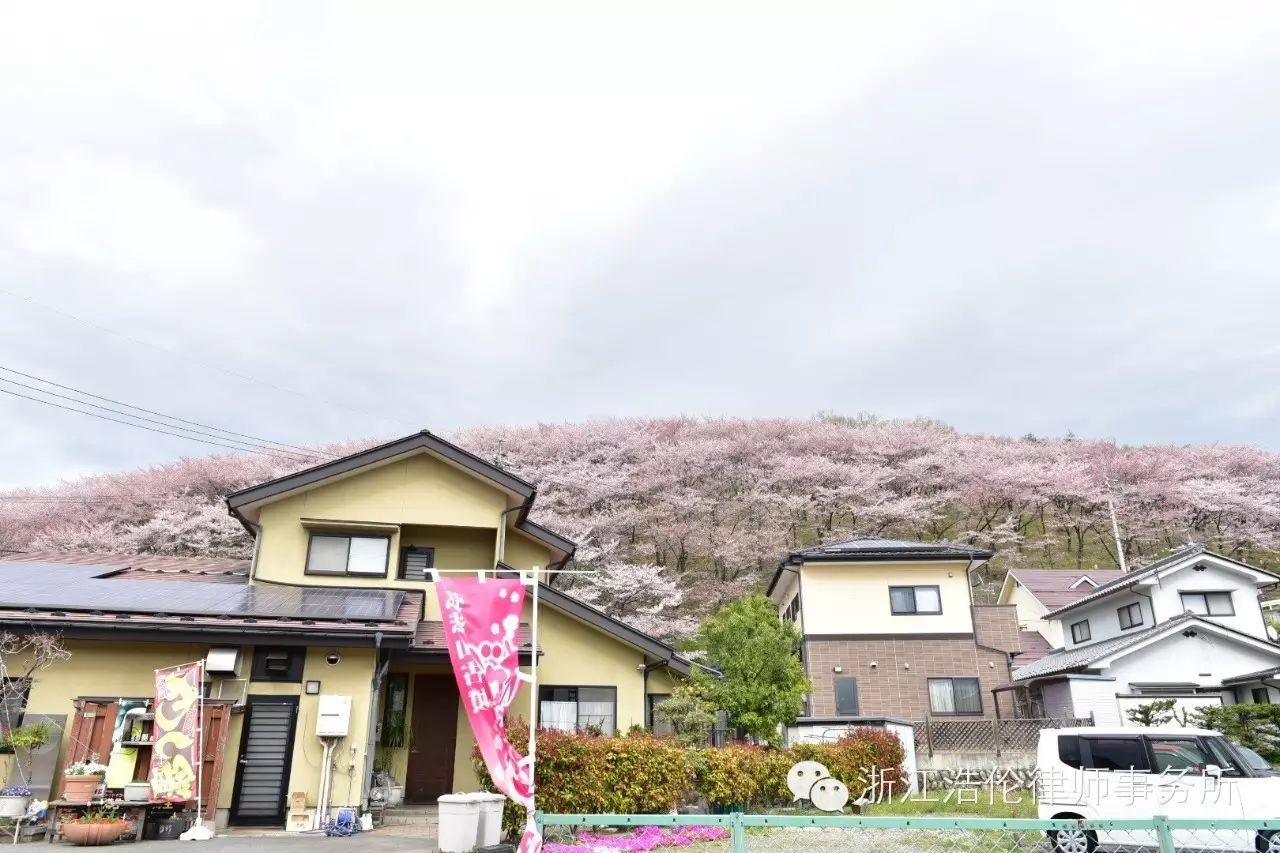 日本川崎旅游攻略_日本川崎旅游景点_日本川崎有什么好玩的
