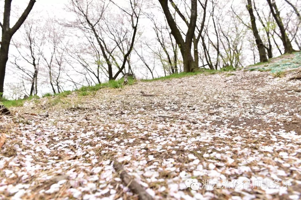 日本川崎有什么好玩的_日本川崎旅游景点_日本川崎旅游攻略