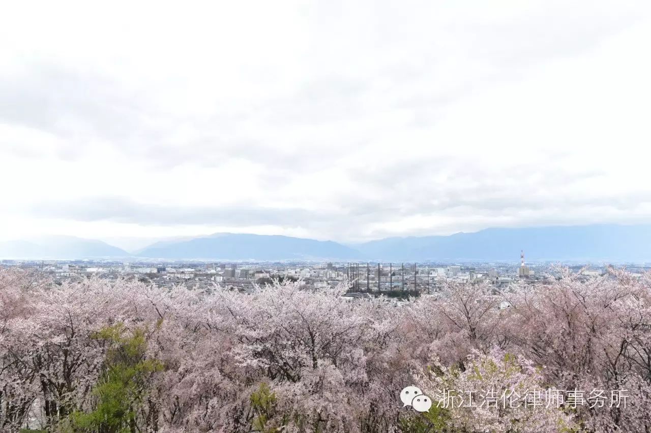 日本川崎旅游景点_日本川崎旅游攻略_日本川崎有什么好玩的