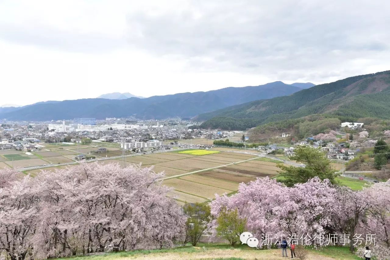 日本川崎旅游景点_日本川崎旅游攻略_日本川崎有什么好玩的