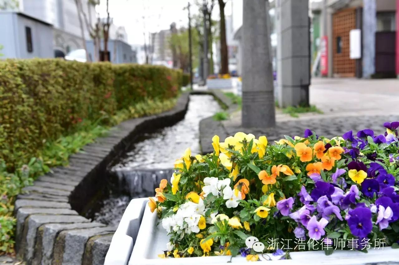 日本川崎旅游攻略_日本川崎旅游景点_日本川崎有什么好玩的