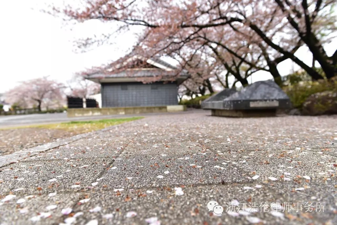 日本川崎有什么好玩的_日本川崎旅游景点_日本川崎旅游攻略