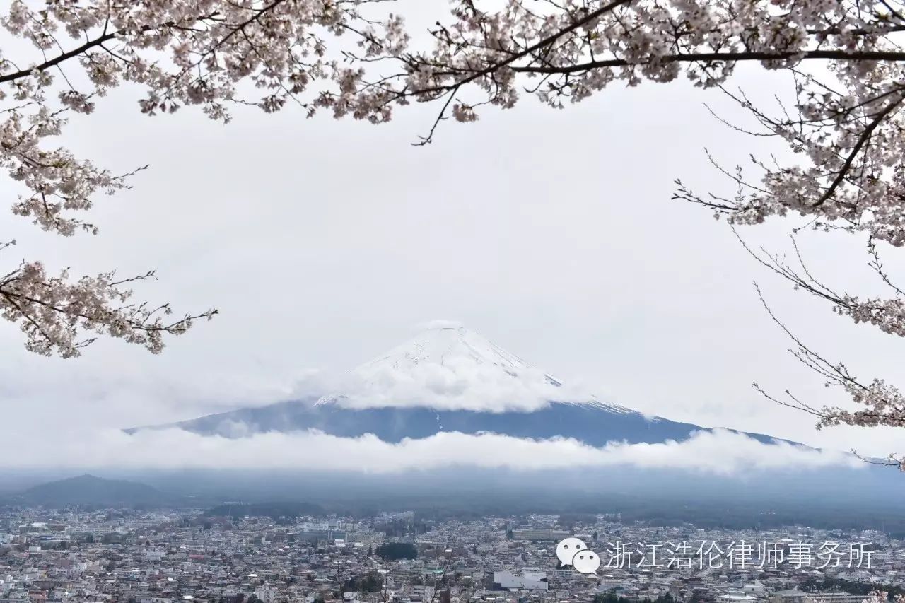 日本川崎有什么好玩的_日本川崎旅游攻略_日本川崎旅游景点