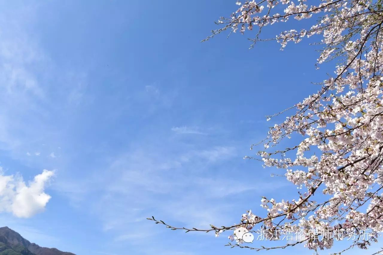 日本川崎旅游攻略_日本川崎旅游景点_日本川崎有什么好玩的