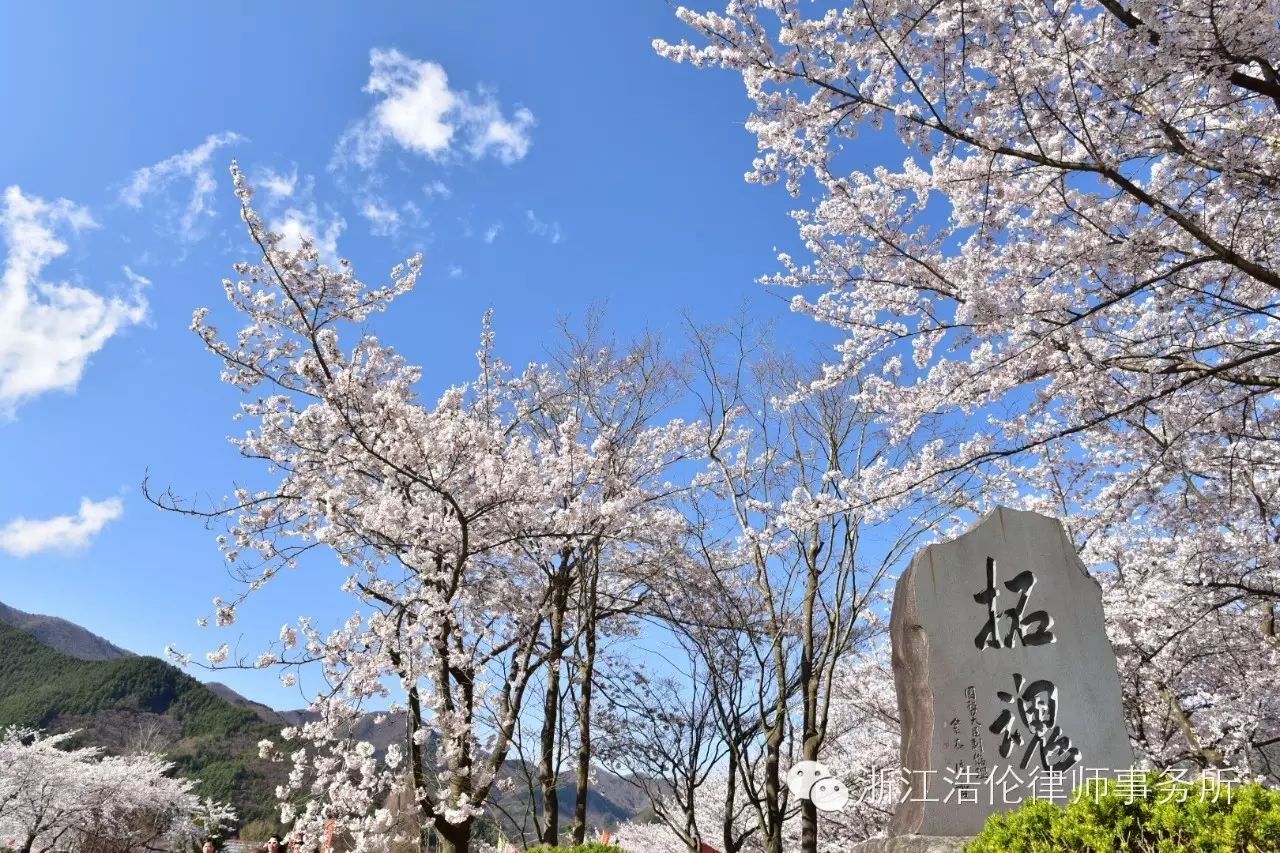 日本川崎旅游攻略_日本川崎旅游景点_日本川崎有什么好玩的