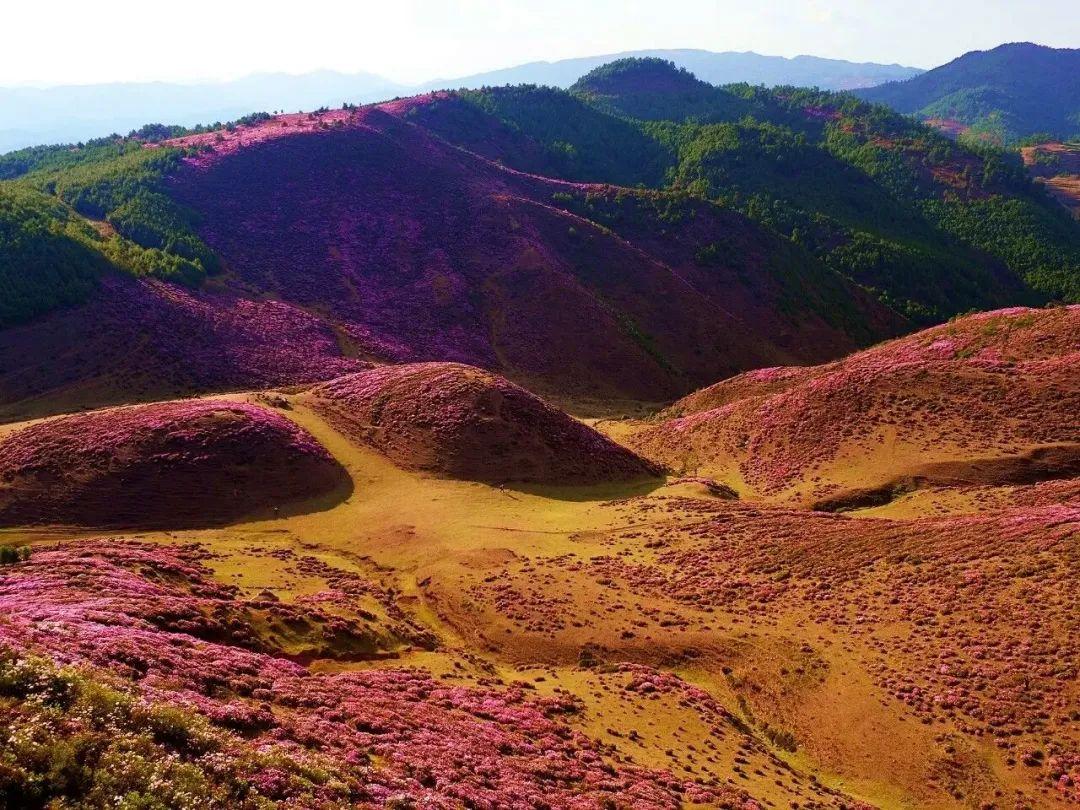 禄劝旅游攻略_禄劝旅游_禄劝旅游项目有哪些