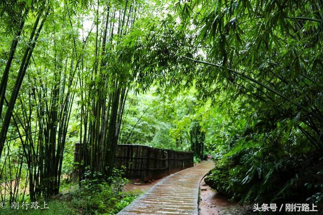 重庆自驾赤水游记及攻略_重庆到赤水旅游攻略_重庆出发赤水两日游