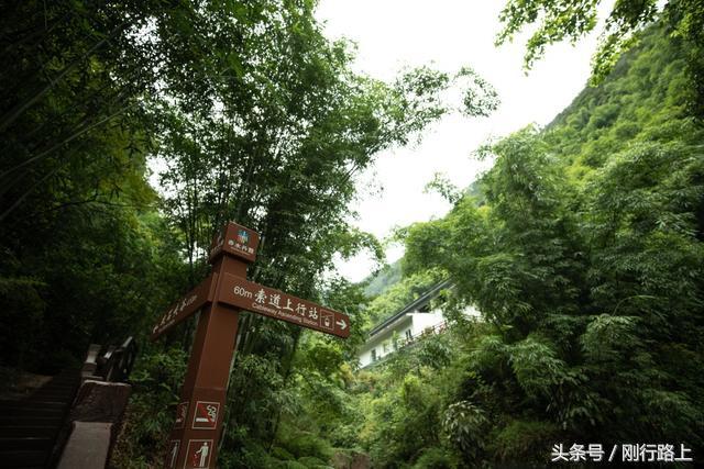 重庆出发赤水两日游_重庆到赤水旅游攻略_重庆自驾赤水游记及攻略