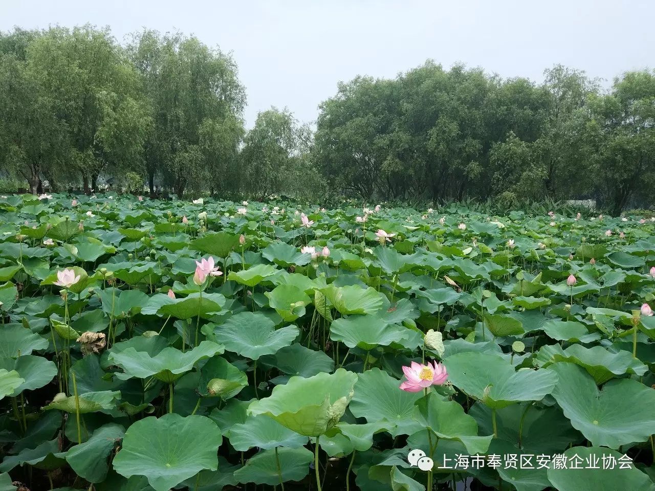先锋频道时尚星尚节目表_星尚频道时尚先锋_时尚先锋栏目组