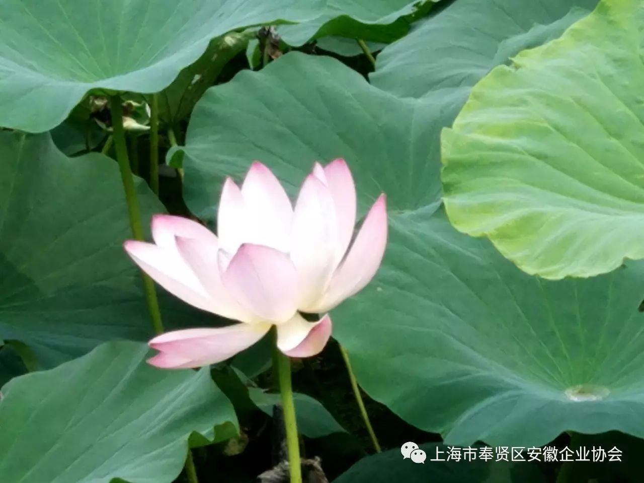 先锋频道时尚星尚节目表_星尚频道时尚先锋_时尚先锋栏目组
