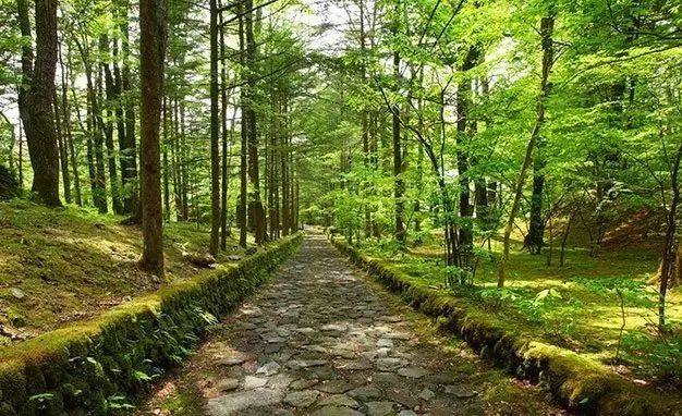 日本北海道9月旅游攻略_日本北海道旅游攻略4日游_日本北海道旅行攻略