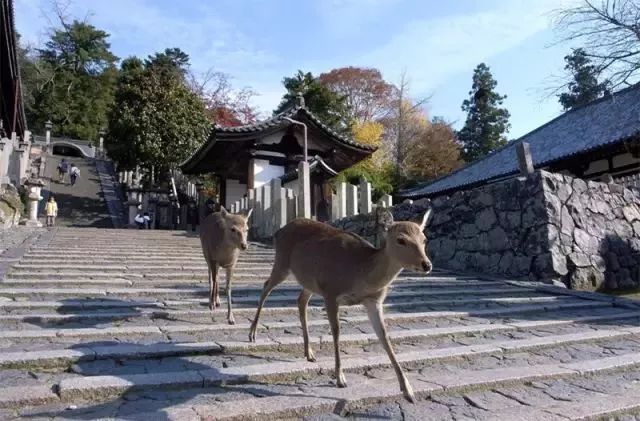 日本北海道旅行攻略_日本北海道9月旅游攻略_日本北海道旅游攻略4日游